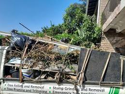 Trusted Winlock, WA Junk Removal Services Experts